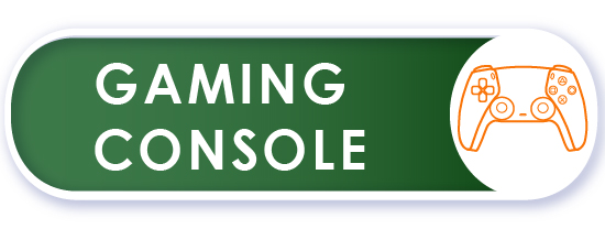 Gaming Console
